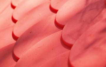 Turleigh plastic roof costs