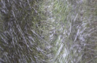 Turleigh fibreglass roof work